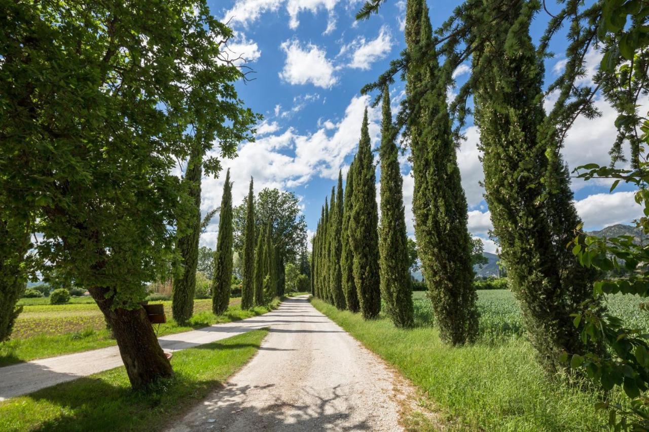 Agriturismo Casella Del Piano Губбио Экстерьер фото